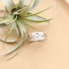 The stamped mountain range with stars ring styled on a tan plate with an air plant